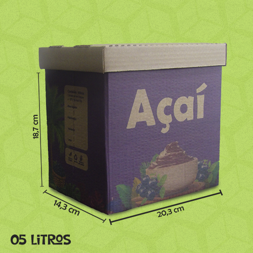 Sorvetes (Impressão Digital) - Padrão 05 litros.png